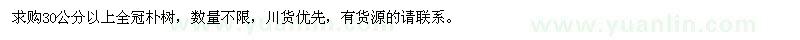 求購30公分以上全冠樸樹(shù)