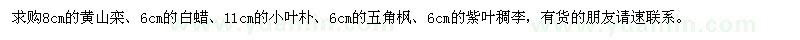 求購黃山欒,白蠟,小葉樸,五角楓,紫葉稠李