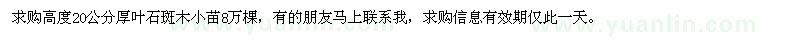求購高度20公分厚葉石斑木小苗8萬棵