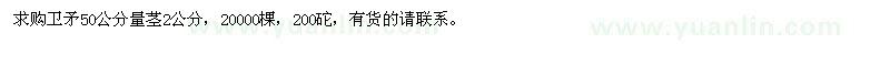 求購衛(wèi)矛50公分量莖2公分