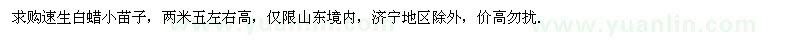 求購(gòu)速生白蠟小苗子 兩米五左右