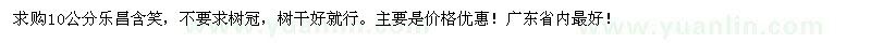 求購樂昌含笑