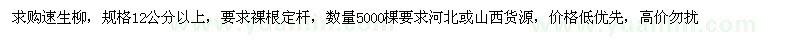 求購速生柳 