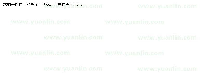 求購垂榕柱，雞蛋花，秋楓，四季桂等小區(qū)用