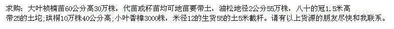 求購大葉楨楠苗
