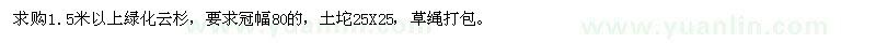 求購1.5米以上綠化云杉