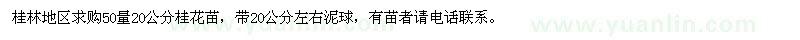 求購50量20公分桂花苗 