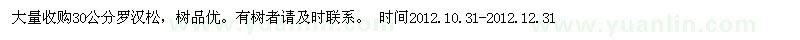 求購30公分羅漢松