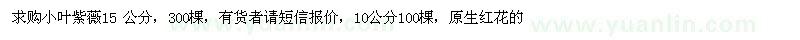 求購小葉紫薇15公分地苗
