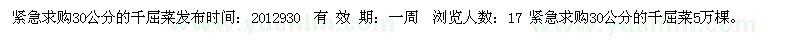求購緊急求購30公分的千屈菜