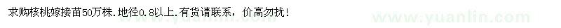 求購核桃嫁接苗