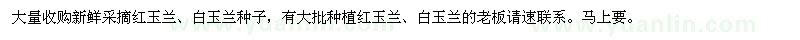 求購(gòu)紅玉蘭、白玉蘭種子