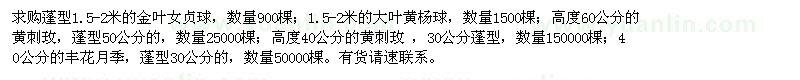 求購金葉女貞球、大葉黃楊球、黃刺、金葉女貞、豐花月季