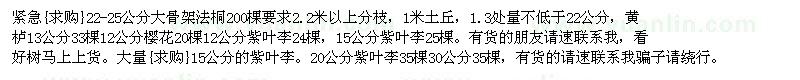 求購緊急大骨架法桐，黃櫨 櫻花（山東省菏澤市）