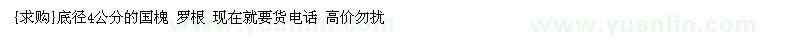 求購底徑4公分的國槐 羅根（河北省保定市）