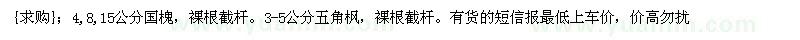 求購國槐 五角楓（山西省晉中市）