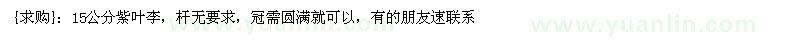 求購15公分紫葉李，桿無要求（山東省濟寧市）