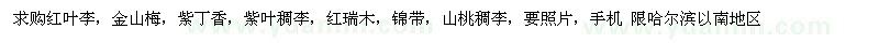求購(gòu)紅葉李，金山梅，紫丁香，紫葉稠李，紅瑞木，錦帶，山桃稠李