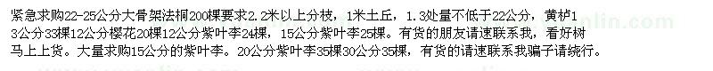 求購(gòu)緊急大骨架法桐，黃櫨 櫻花 紫葉李