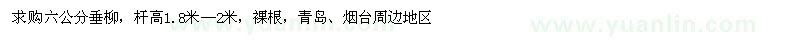 求購六公分垂柳