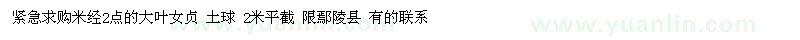 求購緊急米經(jīng)2點的大葉女貞