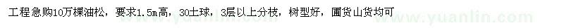求購(gòu)急購(gòu)10萬(wàn)棵油松
