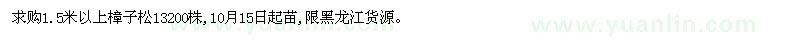 求購1.5米以上樟子松