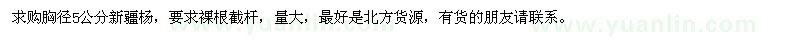 求購(gòu)胸徑5公分新疆楊 