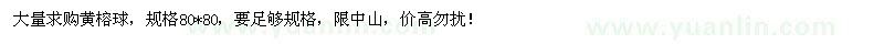 求購大量求購黃榕球規(guī)格80*80