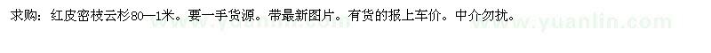 求購(gòu)紅皮密枝云杉80--1米