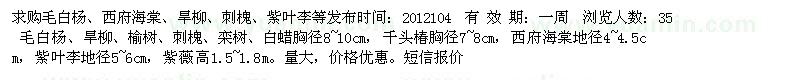 求購毛白楊、西府海棠、旱柳、刺槐、紫葉李等