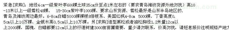 求購紫葉李 雪松 白蠟 美國紅楓 丁香 金銀木 造型黑松或油松