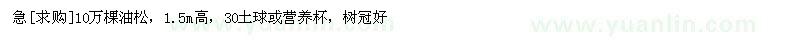 求購急10萬棵油松，1.5m高，30土球或營養(yǎng)杯，樹冠好（陜西省寶