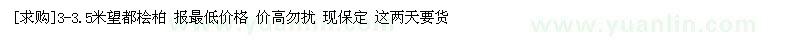 求購3-3.5米望都檜柏（河北省保定市）