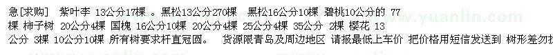 求購(gòu)急 紫葉李 黑松 碧桃（山東省青島市）