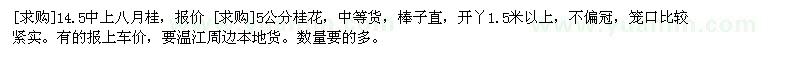 求購14.5中上八月桂，5公分桂花（四川省成都市）