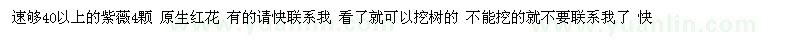求購(gòu)速夠40以上的紫薇4顆 原生紅花（貴州省貴陽(yáng)市）
