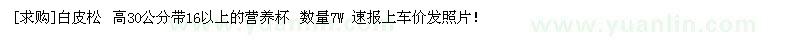 求購(gòu)白皮松 高30公分帶16以上的營(yíng)養(yǎng)杯（河北省保定市）