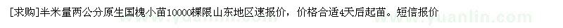 求購原生國槐小苗 半米量 兩公分（山東省濟(jì)寧市）