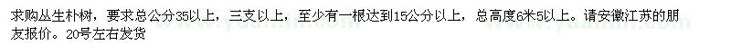 求購叢生樸樹