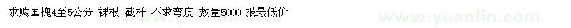 求購(gòu)國(guó)槐4至5公分