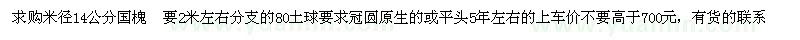 求購(gòu)國(guó)槐米徑14公分