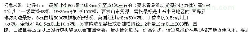 求購(gòu)地徑4cm一級(jí)紫葉李高10-13米以上一級(jí)雪松