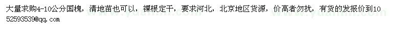 求購國槐