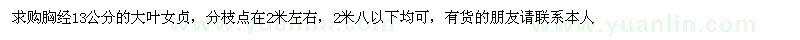 求購13公分的大葉女貞