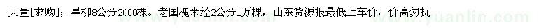 求購旱柳8公分。老國槐米經(jīng)2公分（山東省濱州市）