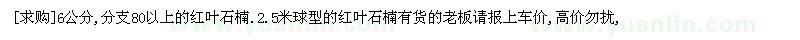 求購6公分,分支80以上的紅葉石楠（浙江省金華市）