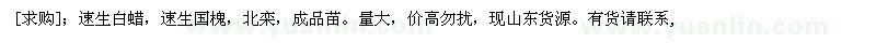 求購(gòu)速生白蠟，速生國(guó)槐，北欒（山東省濟(jì)寧市）
