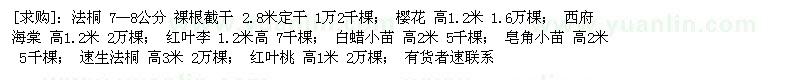 求購法桐 櫻花 西府海棠（山東省泰安市）