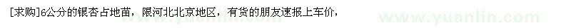求購6公分的銀杏占地苗（北京市北京市）
